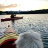 alaskas back country inn kayaking