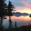 alaskas back country inn shared backyard 1 (1)
