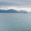 alaskas back country inn shared backyard 3 (1)