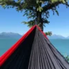 alaskas back country inn shared backyard 4 (1)