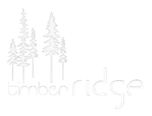 timberridge solutions no solution futuristic logo light